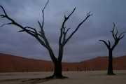Photos Namibie